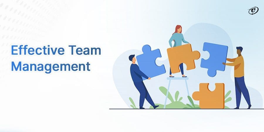 Effective Team Management