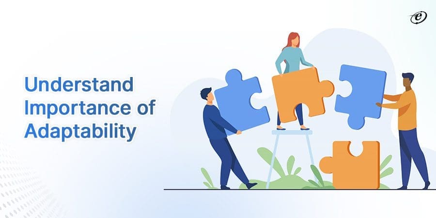 How to Hire Dedicated Developers in Alpharetta: A Step-by-Step Guide 8 Able to adapt to recurring changes