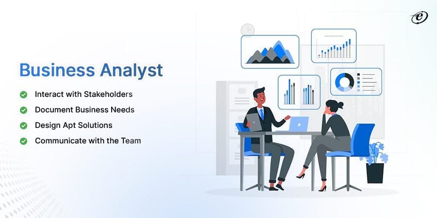 Business Analyst