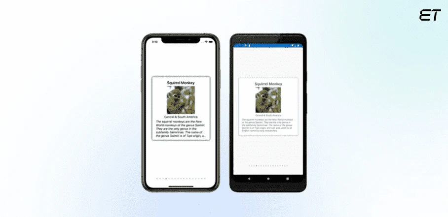 Introduction to .NET MAUI: A Comprehensive Beginner's Guide 12 IndicatorView