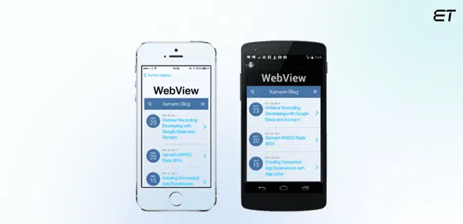 Introduction to .NET MAUI: A Comprehensive Beginner's Guide 6 WebView