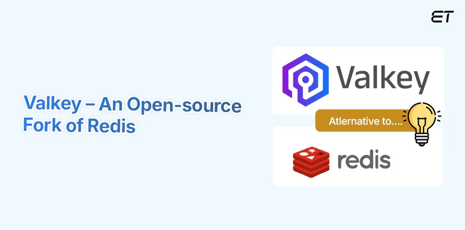 Understanding the Basics of Valkey