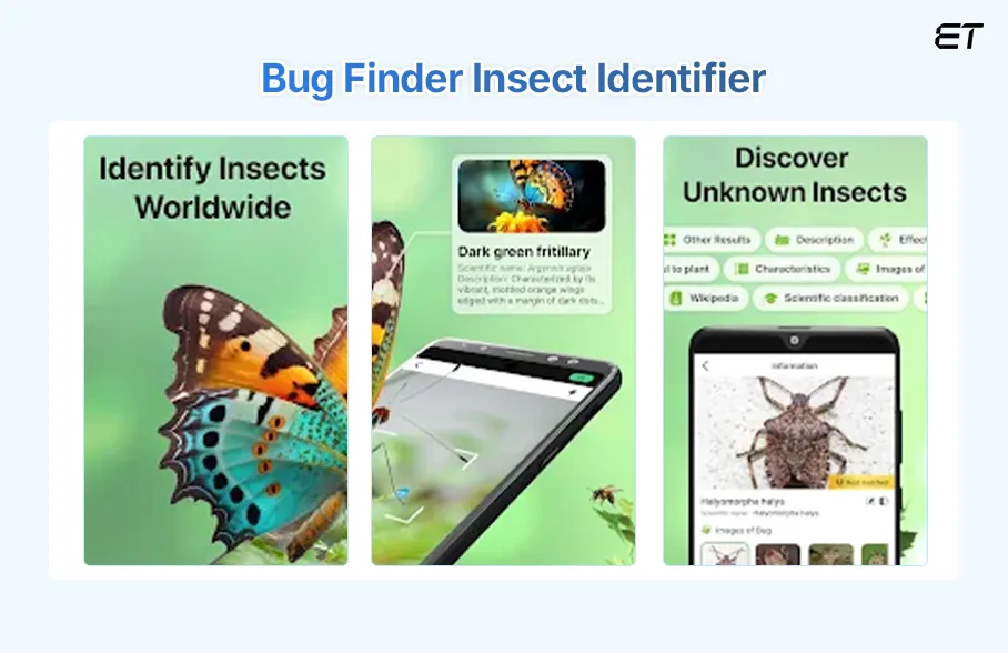Bug Finder Insect Identifier