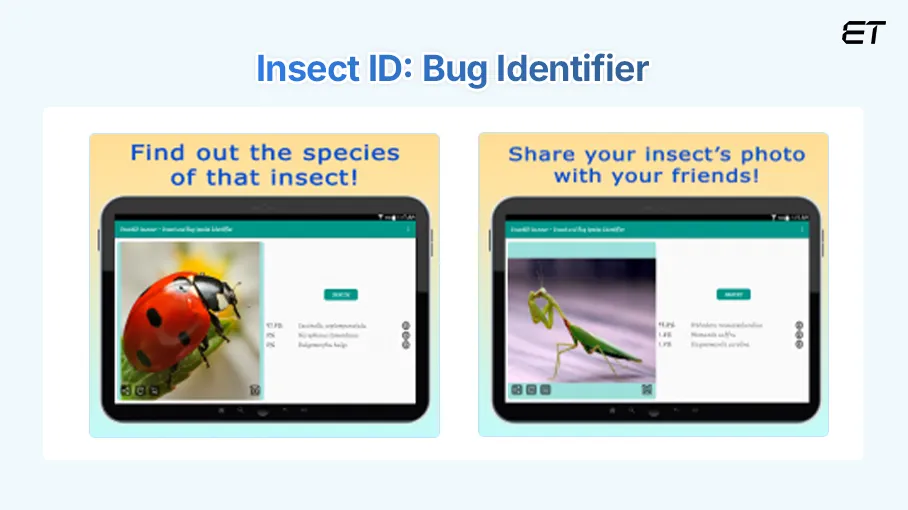 Insect ID Bug identifier