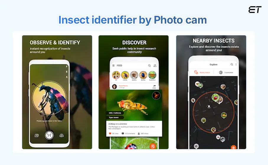 Insect identifier by Photo cam