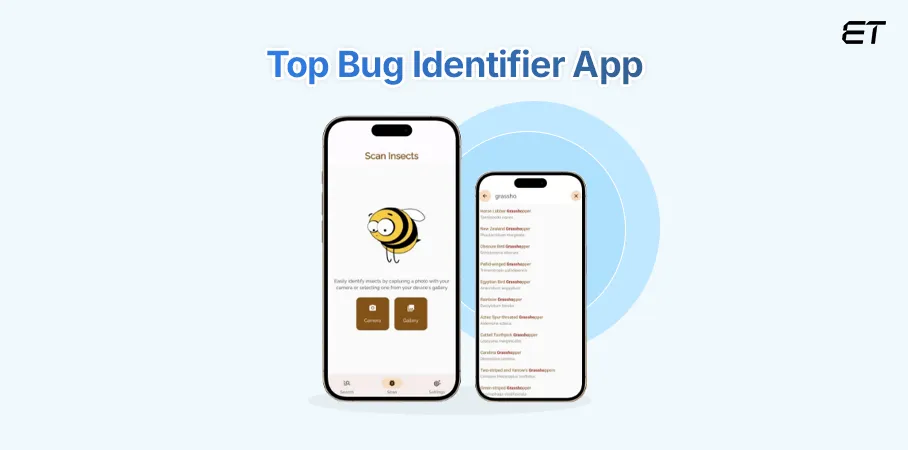 Top Bug Identifier App, and How Does It Work