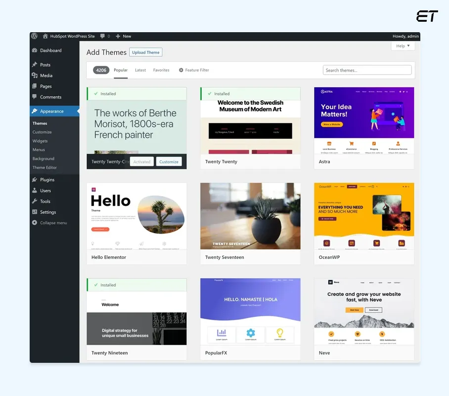 WordPress Appearance