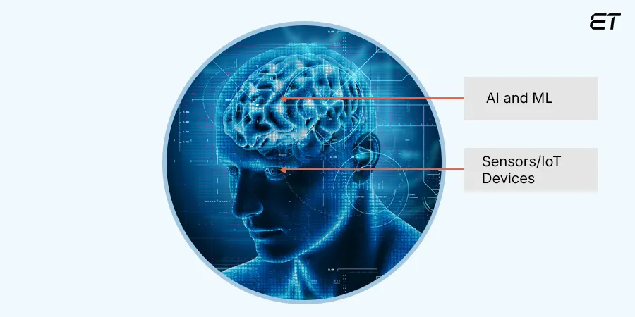 The Typical Components of AmI