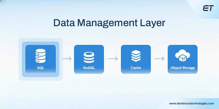 The Data Management Layer